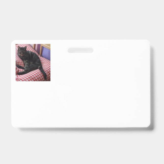 Niedliches Dave Horizontal Identity Abzeichen Ausweis (Vorderseite)