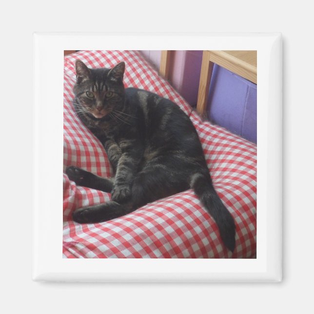 Niedliches Dave Square Magnet (Vorne)