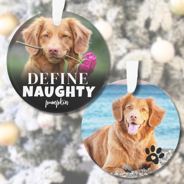 Niedliches Definieren des Fotos eines unheilvollen Ornament (Cute Define Naughty Dog Photo Ornament)