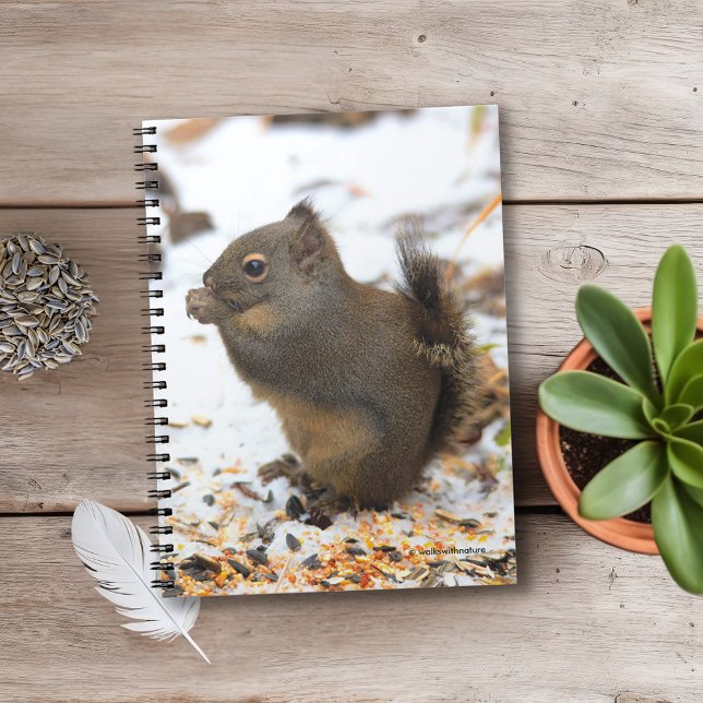 Niedliches Douglas-Eichhörnchen zum Winterfest Notizblock (Douglas Squirrel Enjoying a Winter Beast Journal Cover Photo)