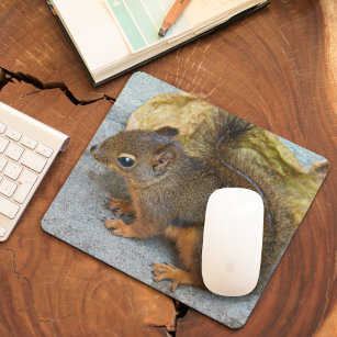 Niedliches Douglas Squirrel Nature Foto Mousepad