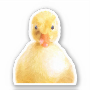 Niedliches Ducklingportrait Aufkleber