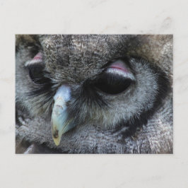 Niedliches Ei Postkarte