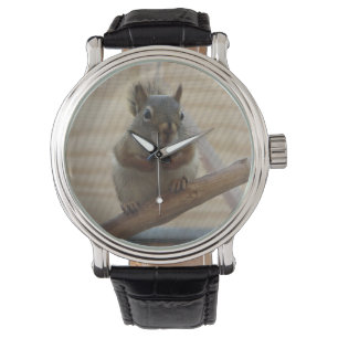 Niedliches Eichhörnchen auf dem Zweig Armbanduhr