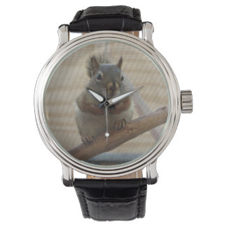 Niedliches Eichhörnchen auf dem Zweig Armbanduhr
