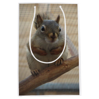 Niedliches Eichhörnchen auf dem Zweig Mittlere Geschenktüte