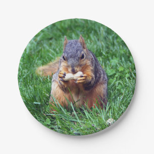 Niedliches Eichhörnchen-Erdnuss-Foto Pappteller