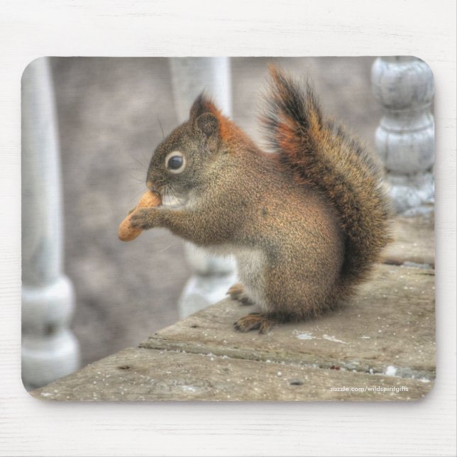 Niedliches Eichhörnchen Ess eines Erdnuss Wildlife Mousepad (Vorne)