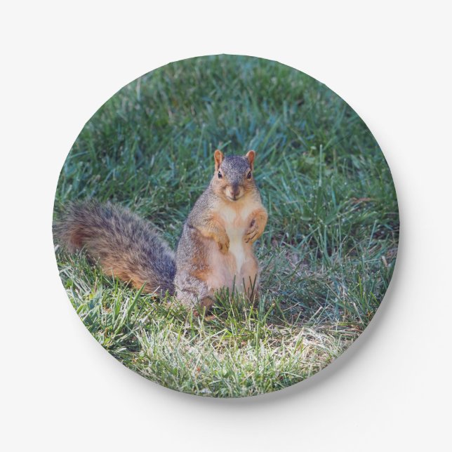 Niedliches Eichhörnchen-Foto Pappteller (Vorderseite)