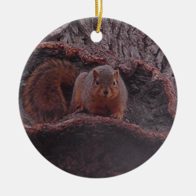 Niedliches Eichhörnchen-Foto Personalisiert Keramik Ornament (Vorne)