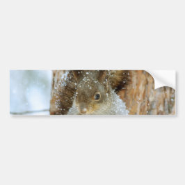 Niedliches Eichhörnchen in der Winterlandschaft Autoaufkleber