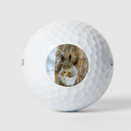 Niedliches Eichhörnchen in der Winterlandschaft Golfball