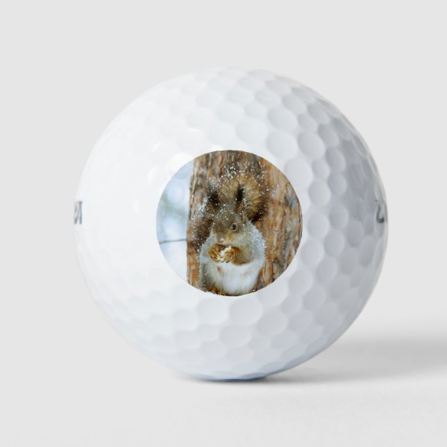 Niedliches Eichhörnchen in der Winterlandschaft Golfball (Vorderseite)