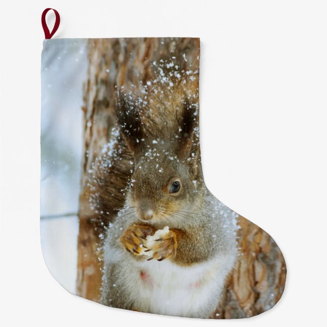 Niedliches Eichhörnchen in der Winterlandschaft Großer Weihnachtsstrumpf (Vorderseite)