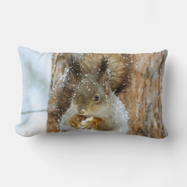 Niedliches Eichhörnchen in der Winterlandschaft Lendenkissen (Vorderseite)
