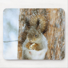 Niedliches Eichhörnchen in der Winterlandschaft Mousepad