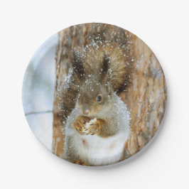 Niedliches Eichhörnchen in der Winterlandschaft Pappteller