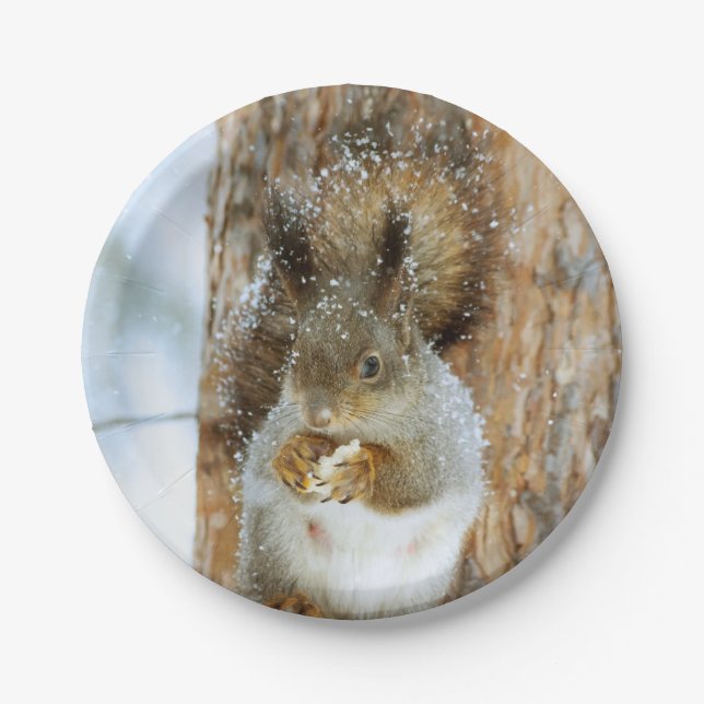 Niedliches Eichhörnchen in der Winterlandschaft Pappteller (Vorderseite)