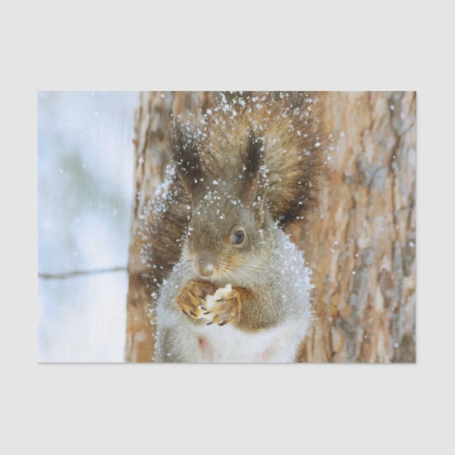 Niedliches Eichhörnchen in der Winterlandschaft Seidenpapier (Vorderseite)