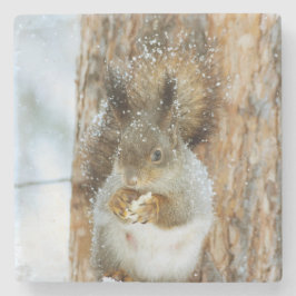 Niedliches Eichhörnchen in der Winterlandschaft Steinuntersetzer
