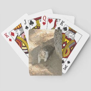 Niedliches Eichhörnchen in Josemite, Kalifornien Spielkarten