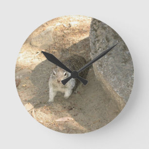 Niedliches Eichhörnchen in Yosemite, CA Runde Wanduhr