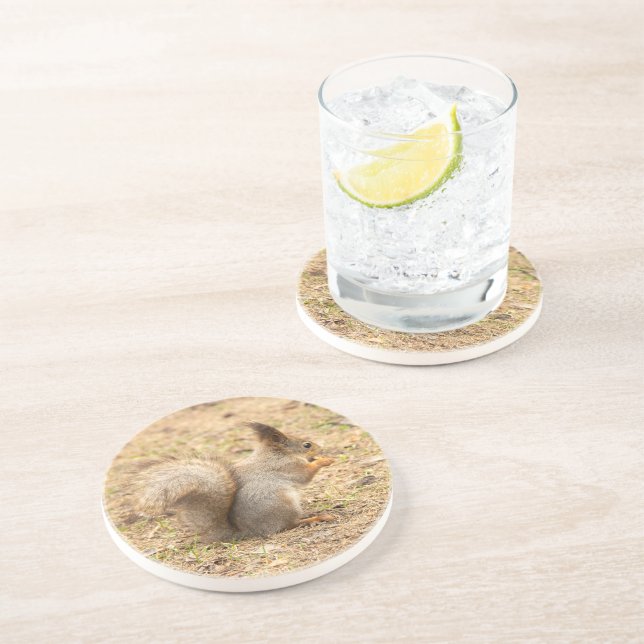 Niedliches Eichhörnchen isst ein Nussbaum-Foto Getränkeuntersetzer (Seite)