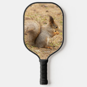 Niedliches Eichhörnchen isst ein Nussbaum-Foto Pickleball Schläger