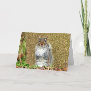 Niedliches Eichhörnchen Karte