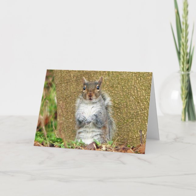 Niedliches Eichhörnchen Karte (Vorderseite)