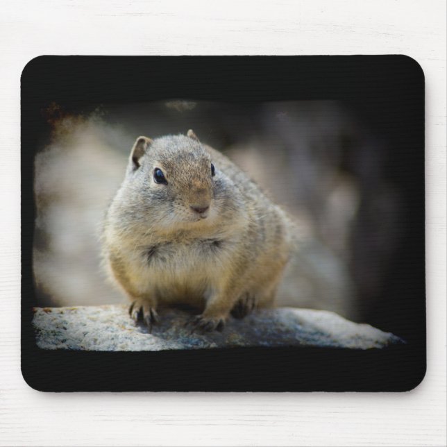 Niedliches Eichhörnchen-Maus Pad Black Border Mousepad (Vorne)