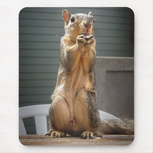 Niedliches Eichhörnchen mit Nut 3 Mousepad (Vorne)