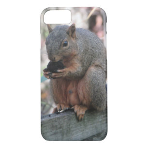 Niedliches Eichhörnchen mit Nut Phone Case