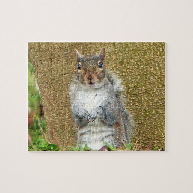 Niedliches Eichhörnchen Puzzle (Horizontal)