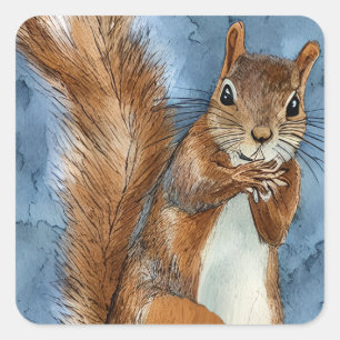 Niedliches Eichhörnchen Quadratischer Aufkleber