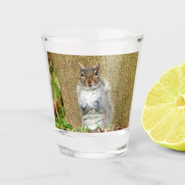 Niedliches Eichhörnchen Schnapsglas (Vorderseite)
