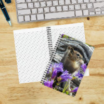 Niedliches Eichhörnchen und Wildblumen Natur Foto