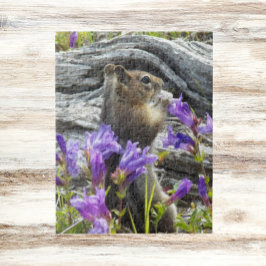 Niedliches Eichhörnchen und Wildblumen Natur Puzzle