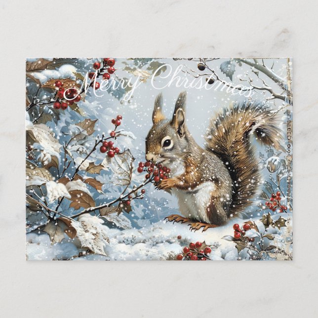 Niedliches Eichhörnchen Winterweihnachtsfest Feiertagspostkarte (Vorderseite)
