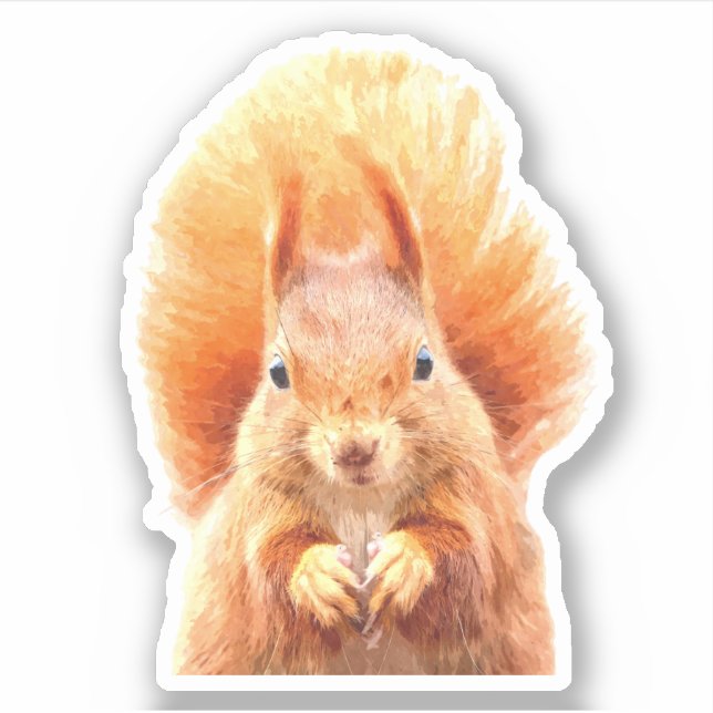 Niedliches Eichhörnchenportrait Aufkleber (Vorderseite)