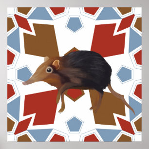 Niedliches Elephant Shrew Fun farbiges Muster Poster
