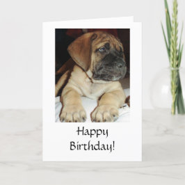 Niedliches Englisch Mastiff Puppy Foto - Happy Bir Karte