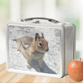 Niedliches Erdeichhörnchen Nature Foto Metall Brotdose