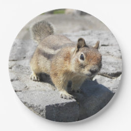 Niedliches Erdeichhörnchen Nature Foto Pappteller