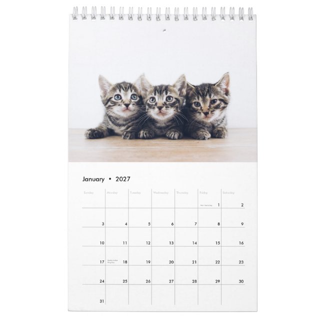 Niedliches Erstellen eines eigenen Cat Pet-Fotos Kalender (Jan 2027)