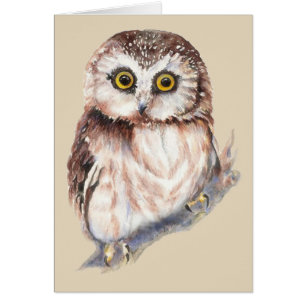Niedliches Eule - Vogelsammlung