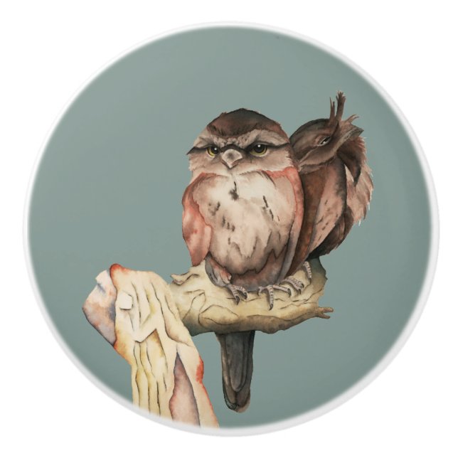 Niedliches Eulen-Vögelwatercolor-Porträt Keramikknauf (Vorderseite)