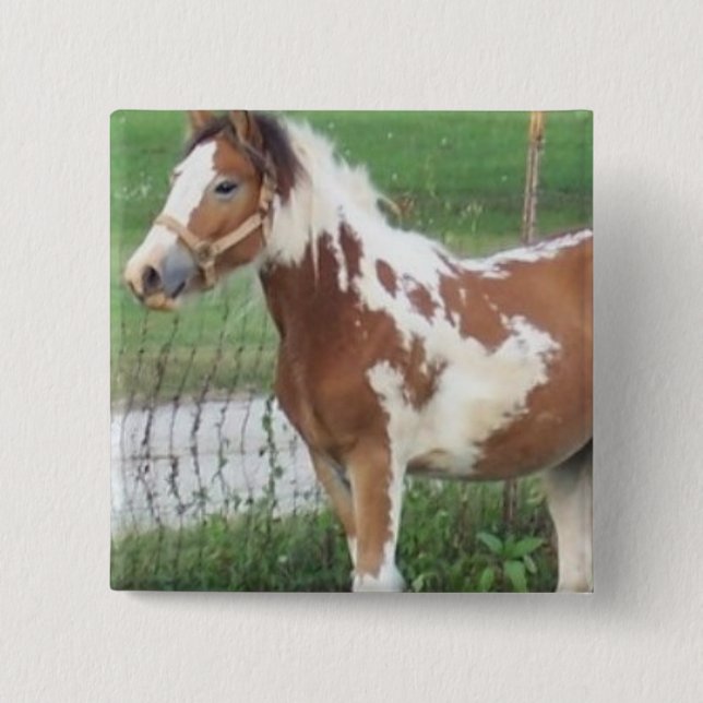 Niedliches Farben-Pony-Button Button (Vorderseite)