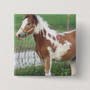Niedliches Farben-Pony-Button Button