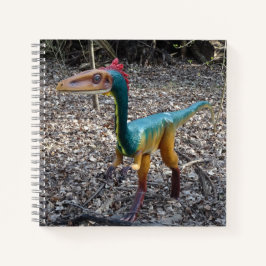 Niedliches farbiges Dinosaurier-Quadrat-Notebook Notizbuch